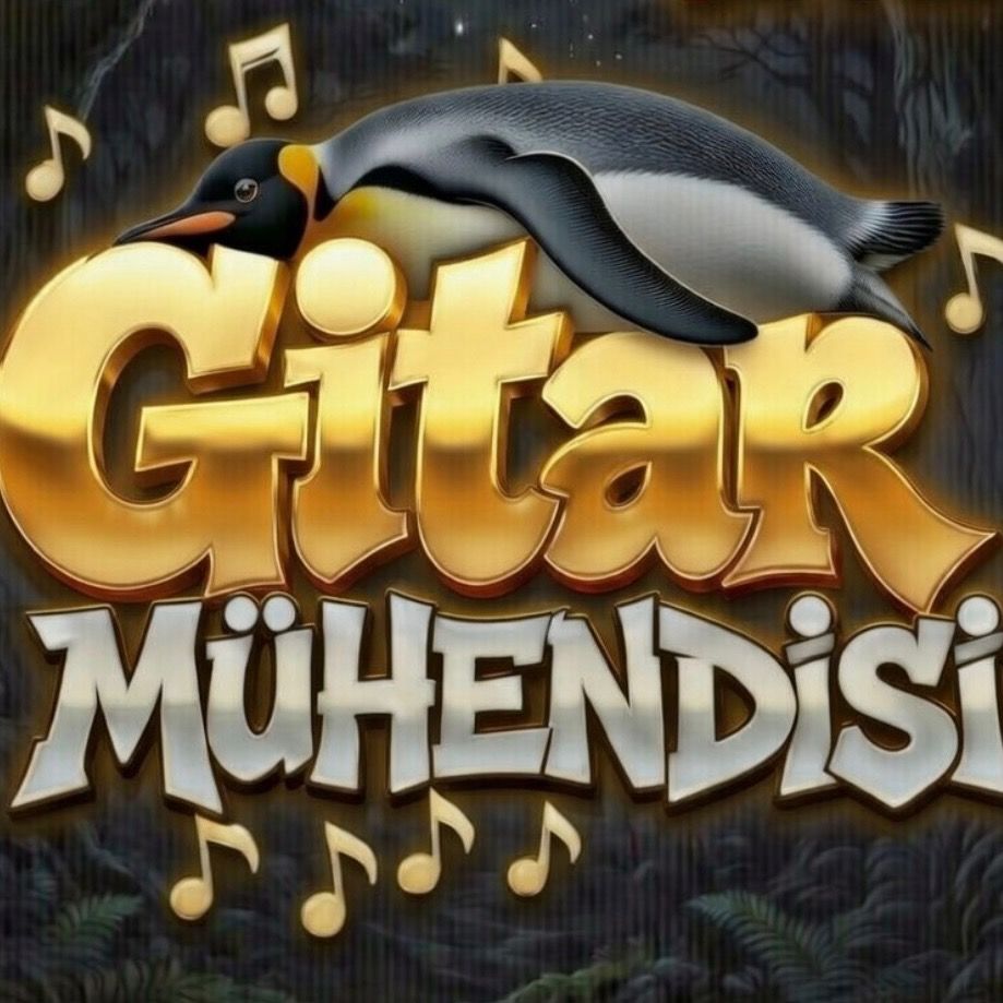 @gitar.muhendisi