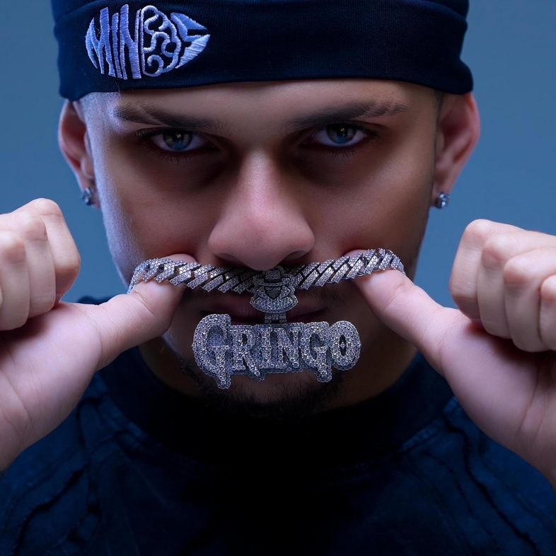 @gringoelimpostor