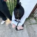 @guaadagallo
