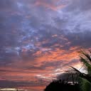 @hasnanis.hh