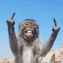 @hassanfarrow