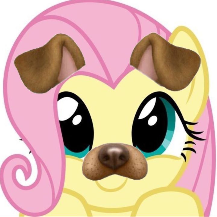 @heilofkitty