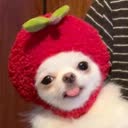 @hmrtesmffqsnja