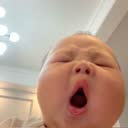 @hoahongkcogai