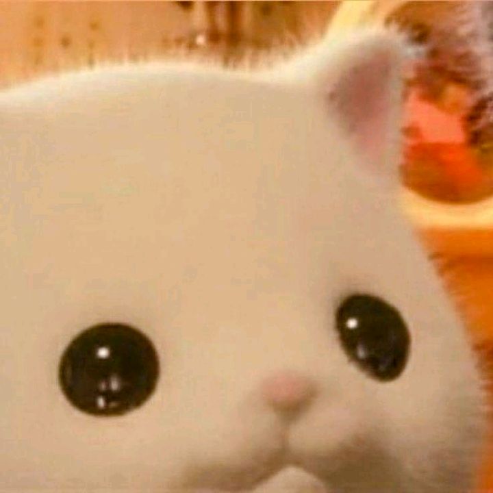 @hoy_minoy