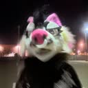 @hunterpaws89