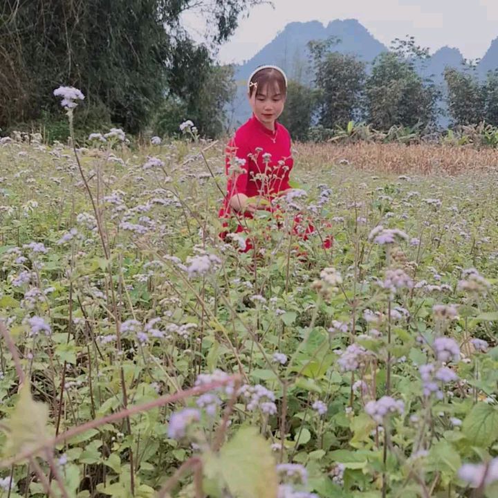 @huong123612