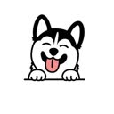 @huskyrun0