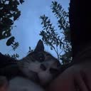 @hyunhs3