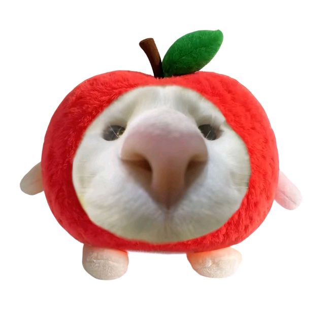 @hzlnt_ofc