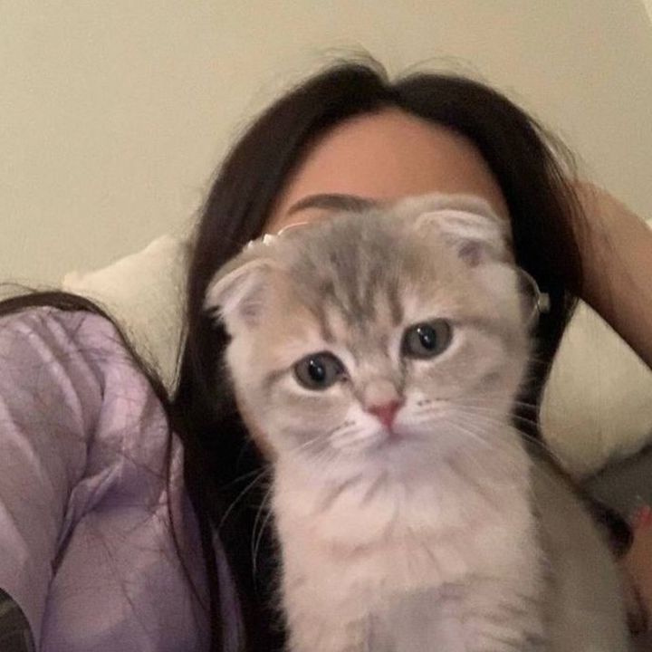 @i11i08