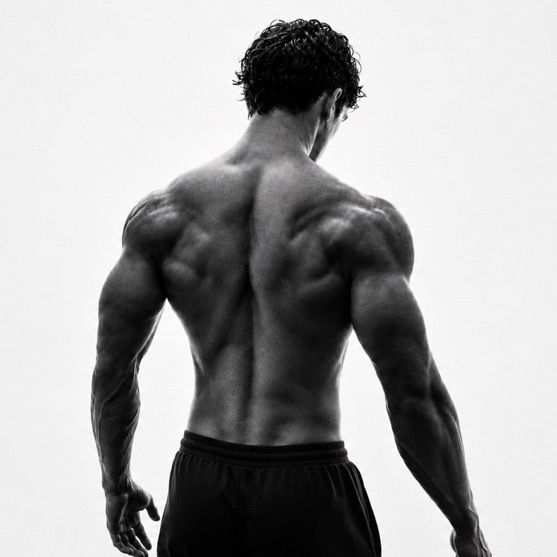 @iltuogymbropreferito