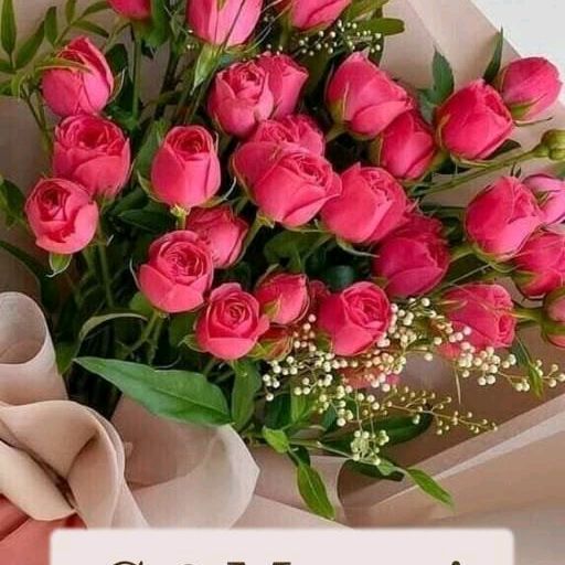 @indira7702
