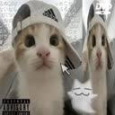 @itzz_mq