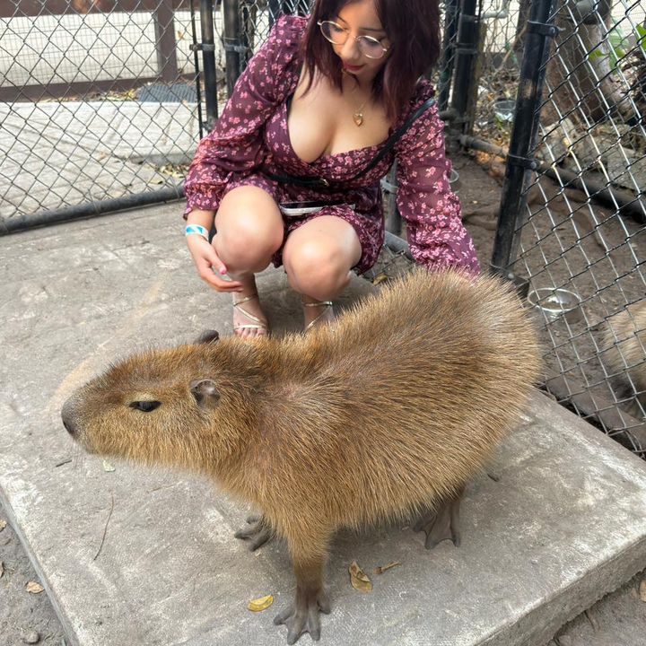 @jamoncita_20
