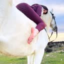 @kaliequestrian