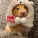 @kangqaroo