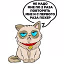 @kenvyx0433