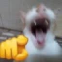 @kh0i_fishie