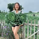 @kitchengarden.id
