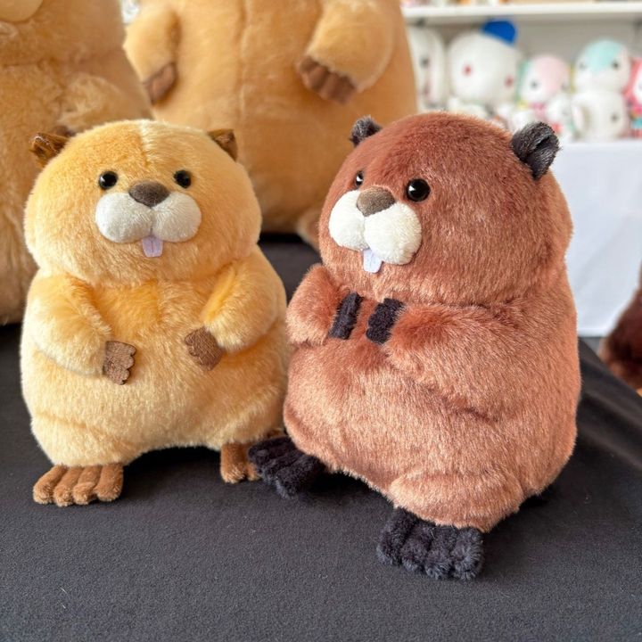 @koyomi0216