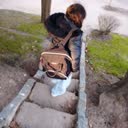 @la_toxi3839
