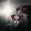 @laalbiiiiii_05