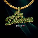 @lasdivinas.dance
