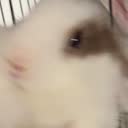 @latepunnnnn
