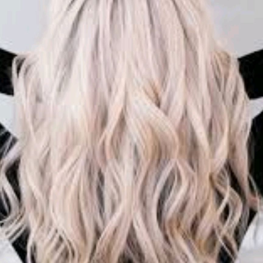 @laurabetty4863w