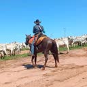 @leandro.rondon61