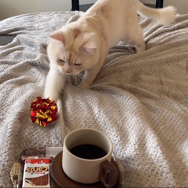 @leooooo2424
