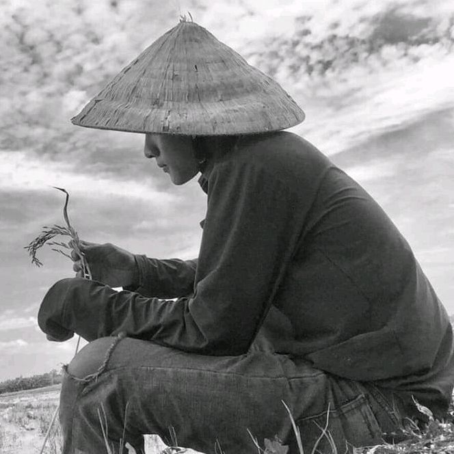 @letuankhang2002