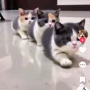 @likev075
