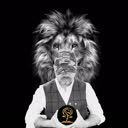 @lionvest