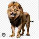 @lyluytzj0yp