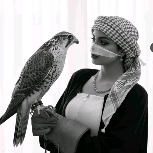 @m101753