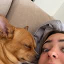 @maayagc