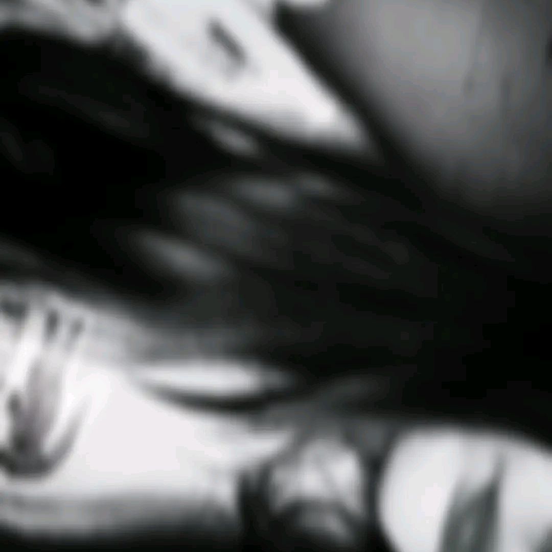 @marifernandez1511