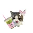 @matcha_2951