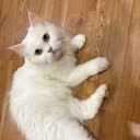 @me.me9808