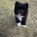 @me098729