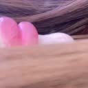 @melissaarce1301