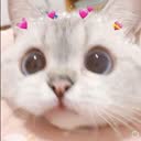 @merissa1901