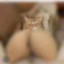 @mm67aaq