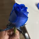 @mtefi4