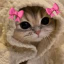 @mudjj9wi