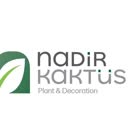 @nadir.kaktus