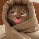 @ndaaaforsure_