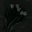 @nhannnneeee
